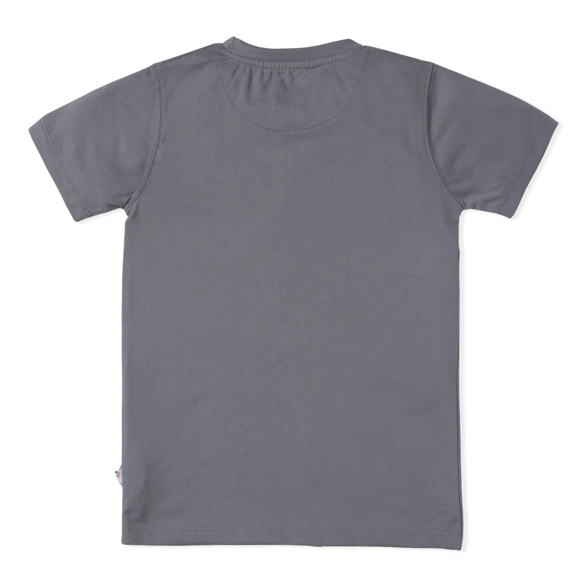 Little Dude Gray T-Shirt