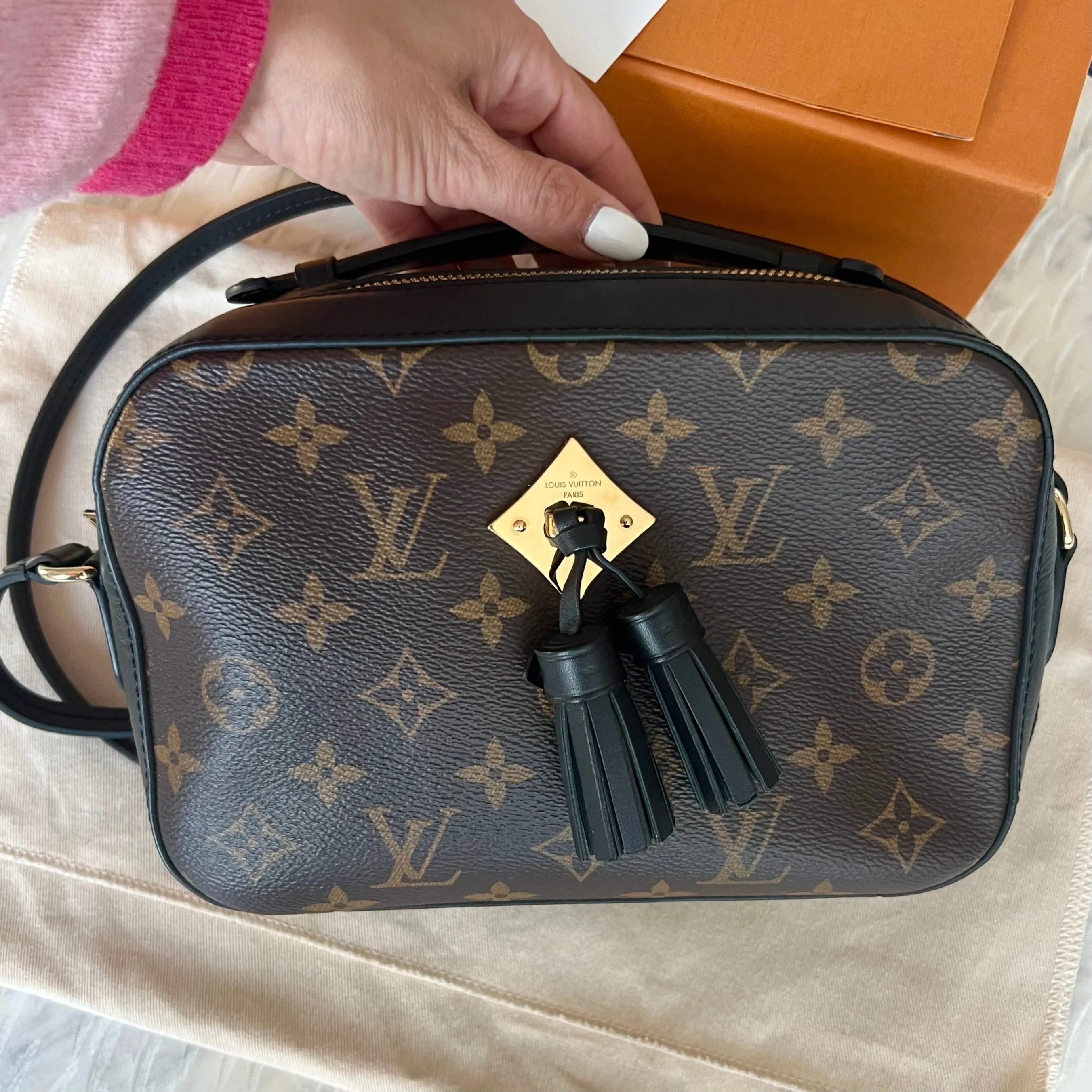 Louis Vuitton Saintonge Bag